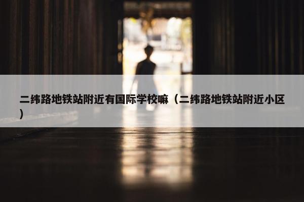 二纬路地铁站附近有国际学校嘛（二纬路地铁站附近小区）