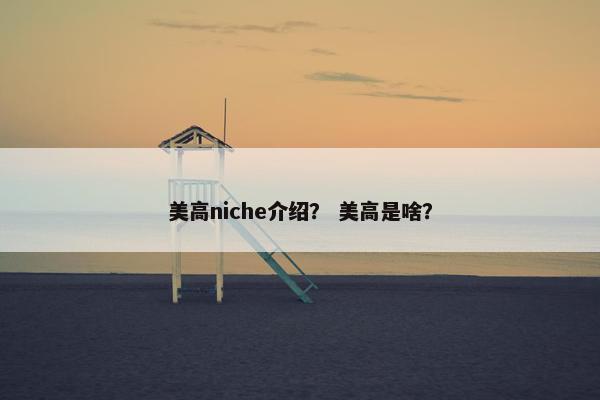 美高niche介绍？ 美高是啥？