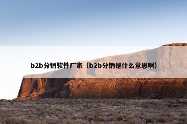 b2b分销软件厂家（b2b分销是什么意思啊）