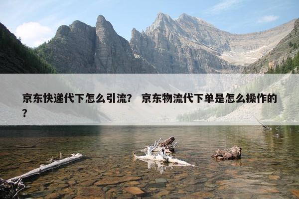 京东快递代下怎么引流？ 京东物流代下单是怎么操作的？