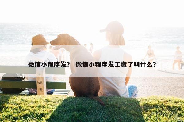 微信小程序发？ 微信小程序发工资了叫什么？
