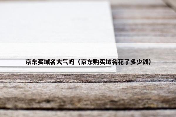 京东买域名大气吗（京东购买域名花了多少钱）