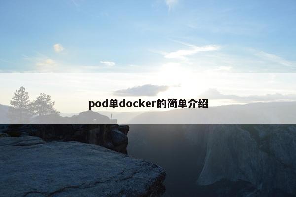 pod单docker的简单介绍