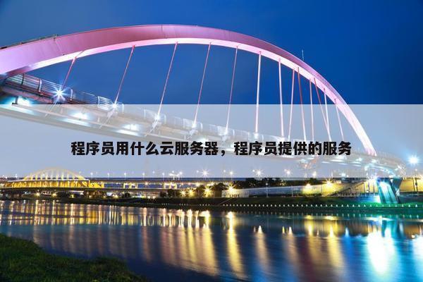 程序员用什么云服务器，程序员提供的服务
