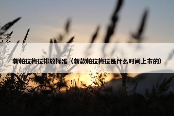 新帕拉梅拉排放标准（新款帕拉梅拉是什么时间上市的）