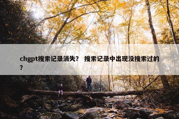 chgpt搜索记录消失？ 搜索记录中出现没搜索过的？