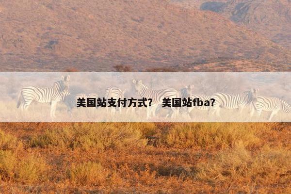 美国站支付方式？ 美国站fba？