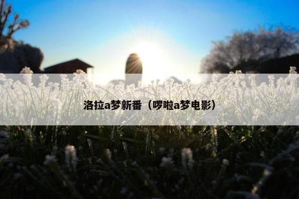 洛拉a梦新番（啰啦a梦电影）