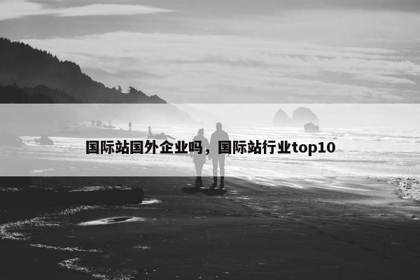 国际站国外企业吗，国际站行业top10