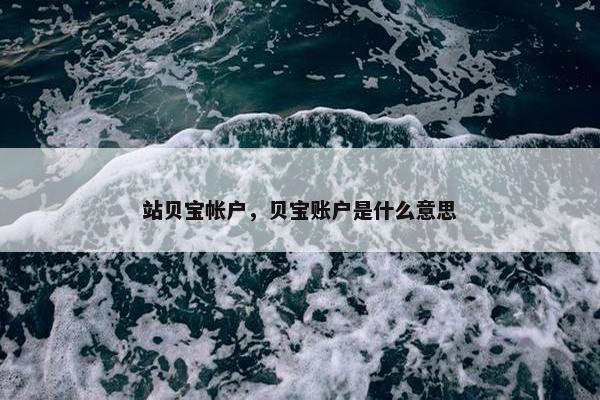 站贝宝帐户，贝宝账户是什么意思