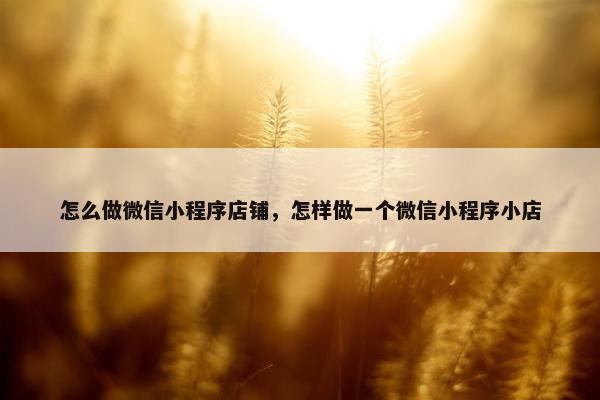 怎么做微信小程序店铺，怎样做一个微信小程序小店