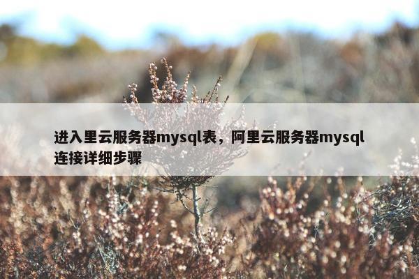 进入里云服务器mysql表，阿里云服务器mysql连接详细步骤
