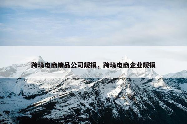 跨境电商精品公司规模，跨境电商企业规模