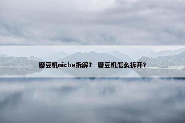 磨豆机niche拆解？ 磨豆机怎么拆开？