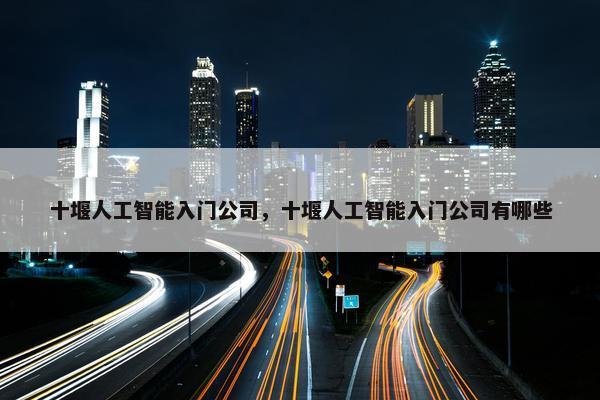 十堰人工智能入门公司，十堰人工智能入门公司有哪些