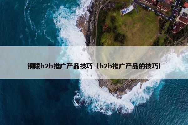 铜陵b2b推广产品技巧（b2b推广产品的技巧）