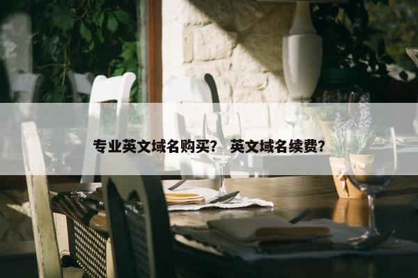 专业英文域名购买？ 英文域名续费？