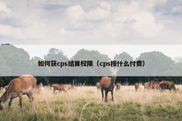 如何获cps结算权限（cps按什么付费）
