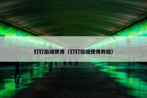 钉钉后端使用（钉钉后端使用教程）