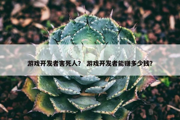 游戏开发者害死人？ 游戏开发者能赚多少钱？