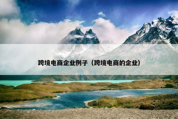 跨境电商企业例子（跨境电商的企业）