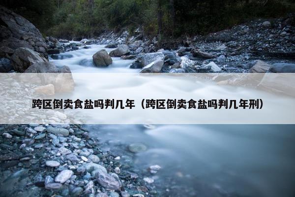 跨区倒卖食盐吗判几年（跨区倒卖食盐吗判几年刑）