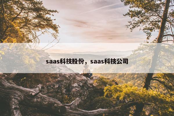 saas科技股份，saas科技公司