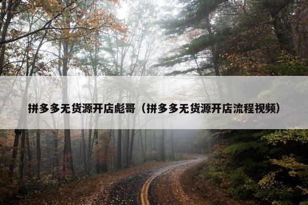 拼多多无货源开店彪哥（拼多多无货源开店流程视频）