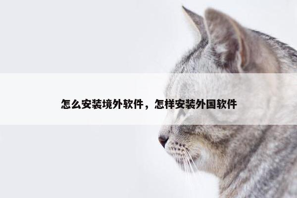 怎么安装境外软件，怎样安装外国软件