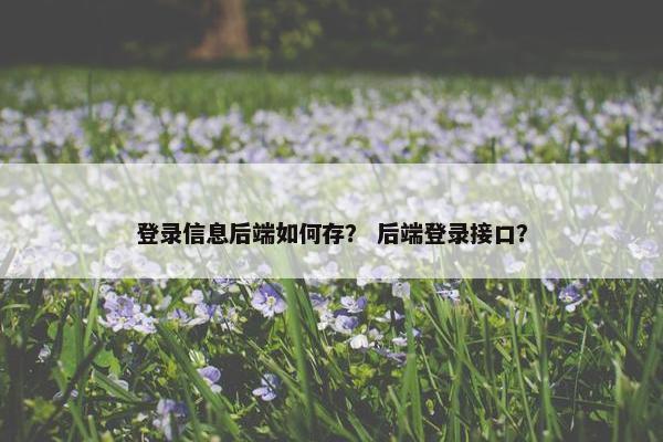 登录信息后端如何存？ 后端登录接口？