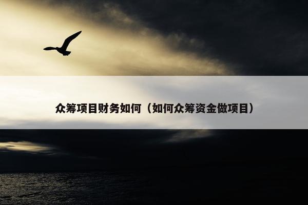 众筹项目财务如何（如何众筹资金做项目）