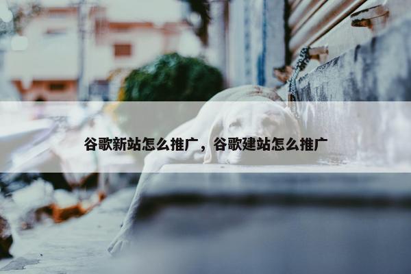 谷歌新站怎么推广，谷歌建站怎么推广