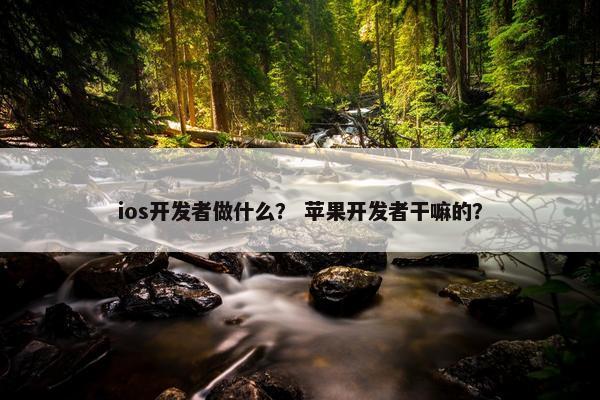 ios开发者做什么？ 苹果开发者干嘛的？