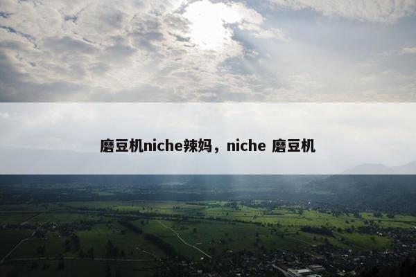 磨豆机niche辣妈，niche 磨豆机