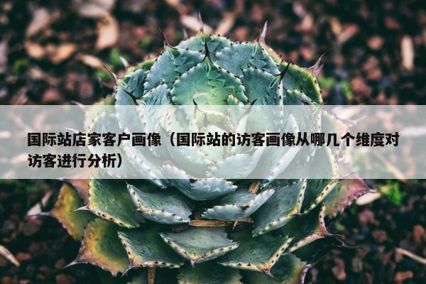 国际站店家客户画像（国际站的访客画像从哪几个维度对访客进行分析）