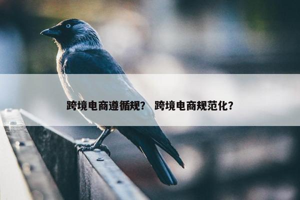 跨境电商遵循规？ 跨境电商规范化？