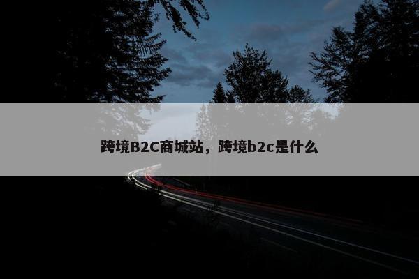 跨境B2C商城站，跨境b2c是什么