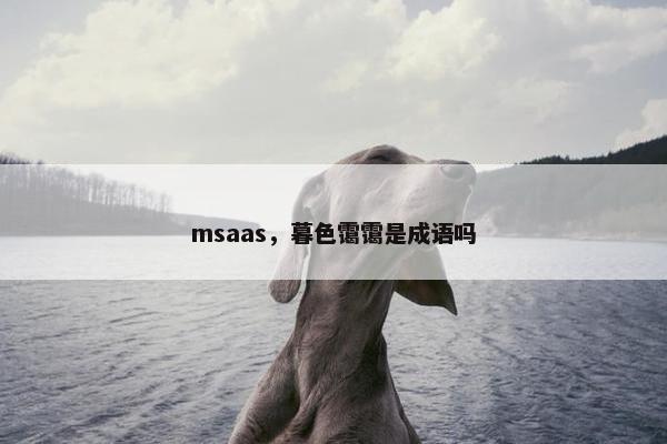 msaas，暮色霭霭是成语吗