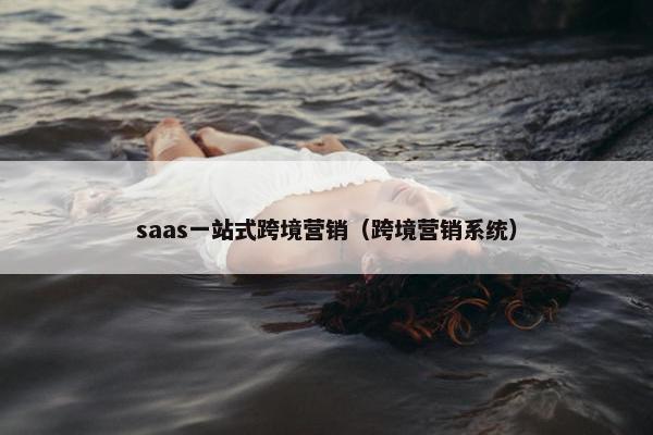 saas一站式跨境营销（跨境营销系统）