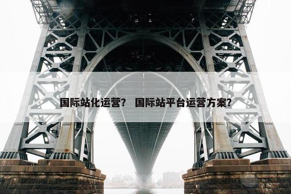 国际站化运营？ 国际站平台运营方案？