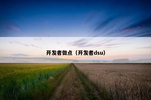 开发者做点（开发者dsu）