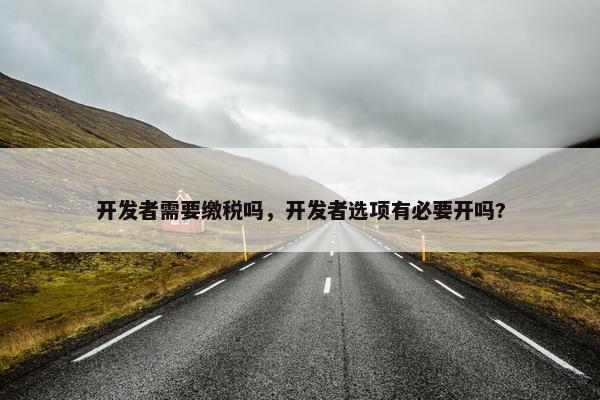 开发者需要缴税吗，开发者选项有必要开吗?