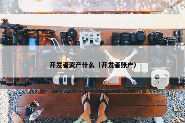 开发者资产什么（开发者账户）