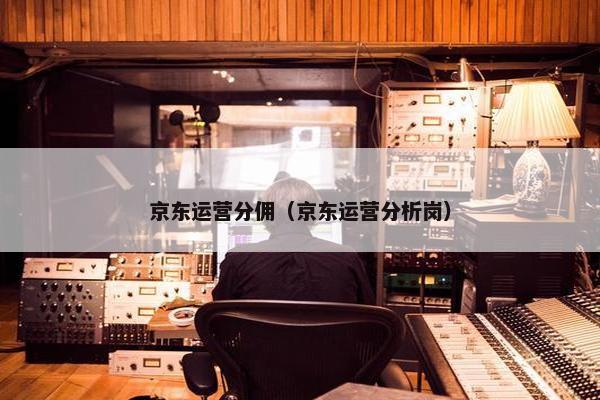 京东运营分佣（京东运营分析岗）