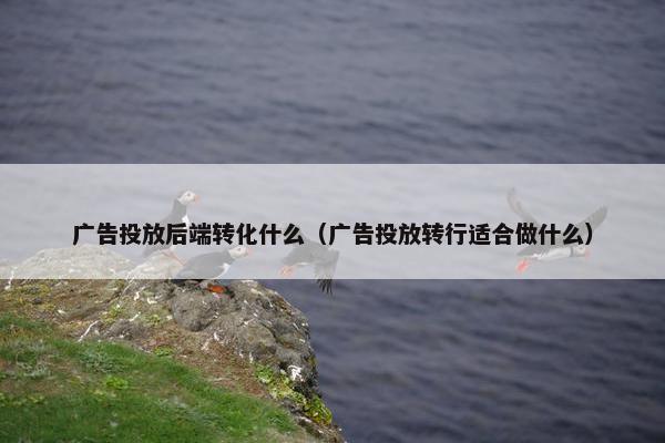 广告投放后端转化什么（广告投放转行适合做什么）