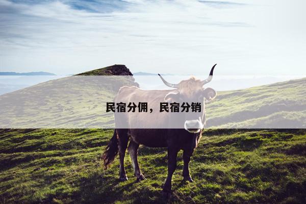 民宿分佣，民宿分销