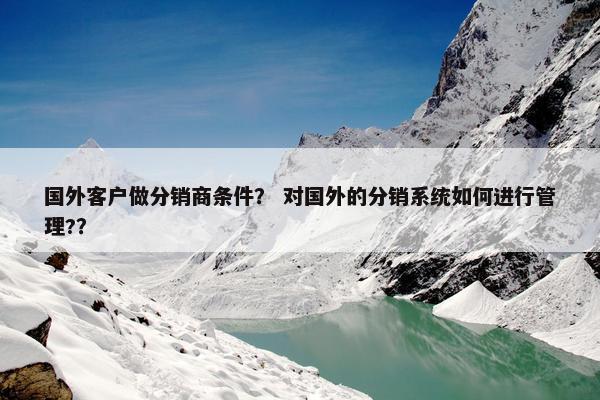 国外客户做分销商条件？ 对国外的分销系统如何进行管理?？