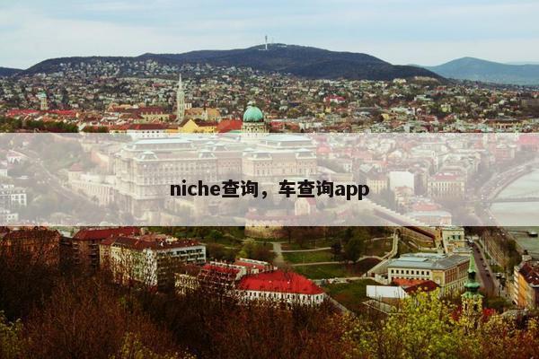 niche查询，车查询app