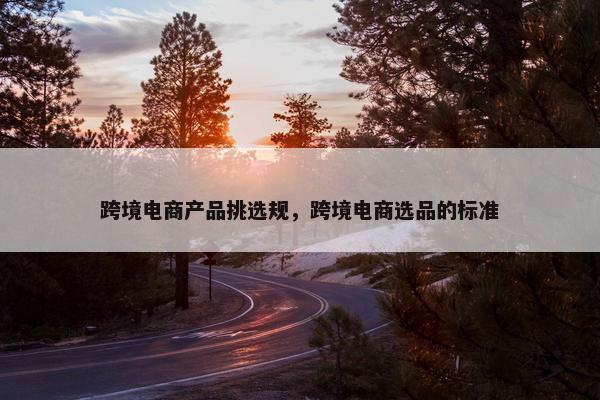 跨境电商产品挑选规，跨境电商选品的标准