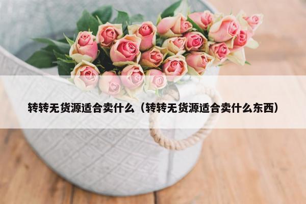 转转无货源适合卖什么（转转无货源适合卖什么东西）